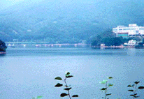 Home Page Image 